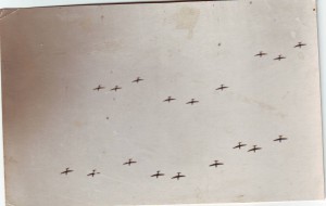 Самолеты в полете. 8 фото с одного альбома.