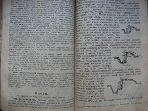 Руководство для унтер-офицеров. 1987г.