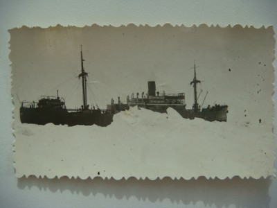 Механик Сталинграда. Спасение Челюскина.