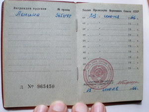 Лысый Люкс 365*** с доком.