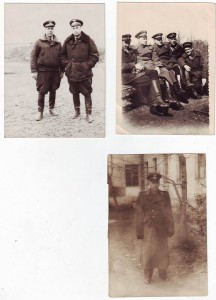 Красавец ГСС Ивченко И.В.  3 БКЗ, Невский, Хмель Много фото.