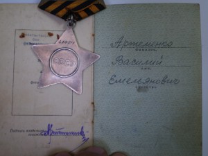 Орден Славы3+Бз+док