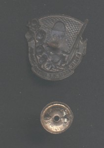 Сталинский поход за Хлопок