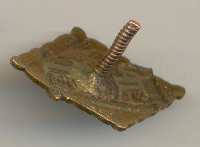 ДСО Большевик