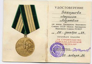 БАМ с доком