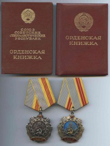 Славы Трудовые 2-3 с доками на одного