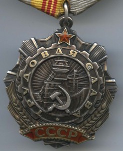 Славы Трудовые 2-3 с доками на одного