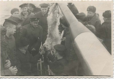 Большой лот инженера ВМФ