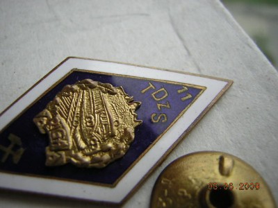 Т D Z S(Даугавпилский Ж/Д Техникум)