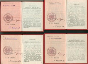 комплект Шаньгиных. доки на ТО,ТД, труд в ВОВ И ТД.(отложен)