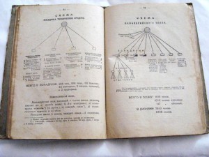 Устройство ВООРУЖЕННЫХ СИЛ РЕСПУБЛИКИ .  Петроград 1919г.