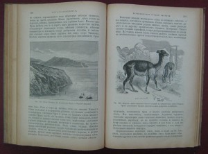 Народная энциклопедия. Том 6. Антрополого-географический