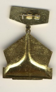 Почетный строитель Байконура и др.