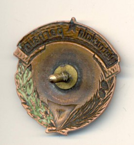 Петрозаводск волейбол 3 место