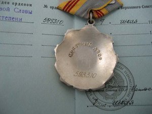 Трудовая слава с документом
