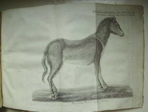 1771г путешествие из СПб до Черкаска