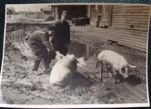 4 фото одним лотом, на одном "активист Осоавиахим"