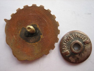 Членский знак СВБ.