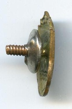 ДСО Буревестник