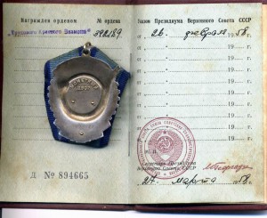 ТКЗ Переходной № 392189 с Доком в Люксе