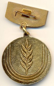 ТРЕНЕР ЧЕМПИОНА