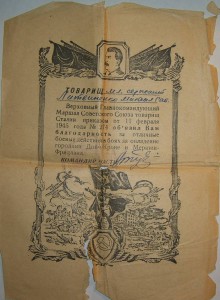 Ленинград (награжденА) и 5 Благодарностей (на разных)