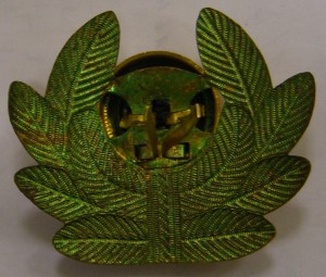 Кокарда летная, латунь.