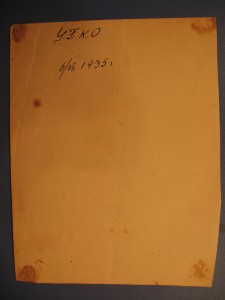 Знаменосцы____ЦПКО 1935г.