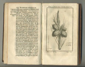 История. 1768г. Путешествие в Сибирь. 70,71,82 тома