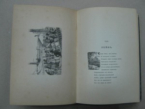 Сенсации и замечания госпожи Курдюковой за границею. 1904