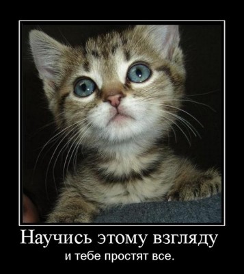 А нужен ли Леонидович на форуме???