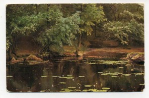 Ассорти-5 Живопись и прочее