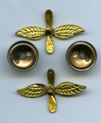 Эмблемы петличные летные и пара звездочек.