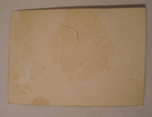 Генерал ГСС - ?  Весь в наградах.