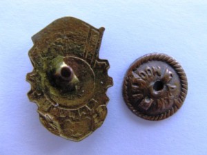 чемпион,лыжи