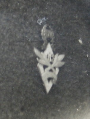 ТРИ ФОТО -ТРИ бойца-старт 20 уе