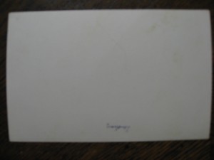 самолет СССР-Л1449