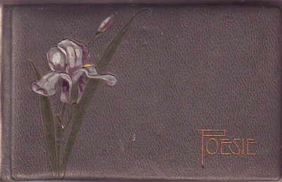 Агитационные "переводилки".