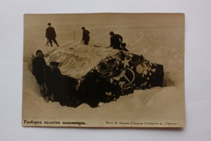 5 фото для фото-газеты.