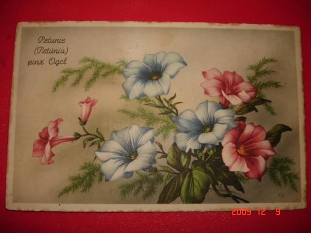 Открытки гастрбайтеров