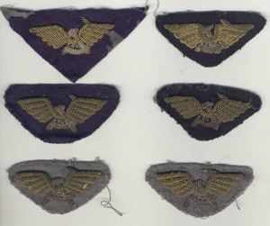 Нашивки летчика.