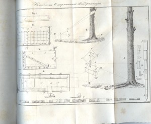 лесной журнал 1838г