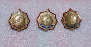 Лыжные гонки (подборки) - 6