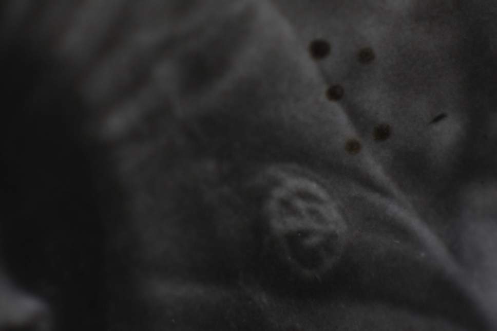 Мать героиня Громыко