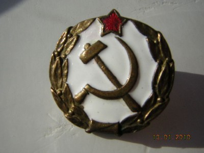 !!!____________Петличная эмблема (места заключений)_____!!!