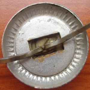 !!!____________Петличная эмблема (места заключений)_____!!!