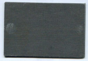 чемпион АССР по водным видам спорта