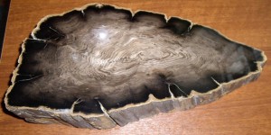 Пепельница из окаменелого дерева