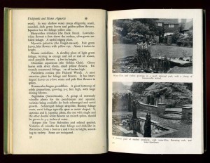 Fishponds and Home Aquaria - 1948 г. Англия