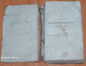 Опыт истории гражданского общества 1817 год